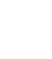 DiVA logotype